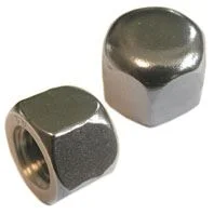  Hex Cap Nut Stockist in India