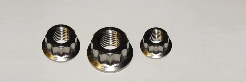 12 Point Flange Nut  Manufacturer & Supplier in Malaysia