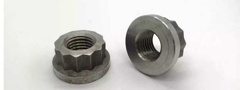 12 Point Flange Nut  Manufacturer & Supplier in Kuwait