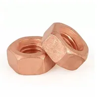  Copper Nuts Manufacturer in India