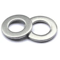  Nitronic Washers Manufacturer in India