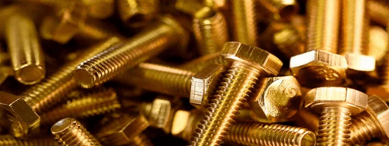 Phospher Bronze Fasteners Manufacturer & Supplier in India