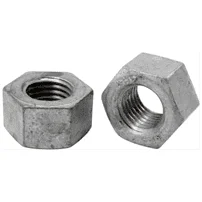  Spanish Standard CSN Nuts Manufacturer in India