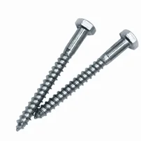  Spanish Standard CSN Screws Manufacturer in India