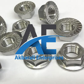 12 Point Flange Nut Supplier in India