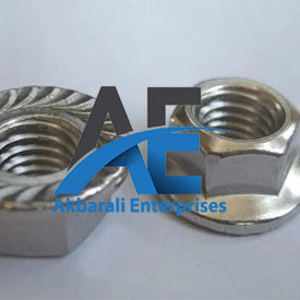 Flange Nut Supplier in India
