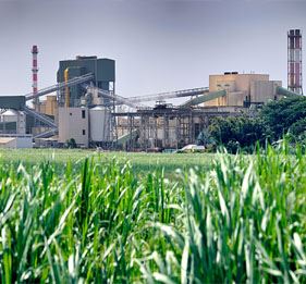 Sugar Mills Industry