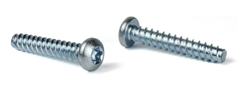 Thread Forming Screw Manufacturer in India