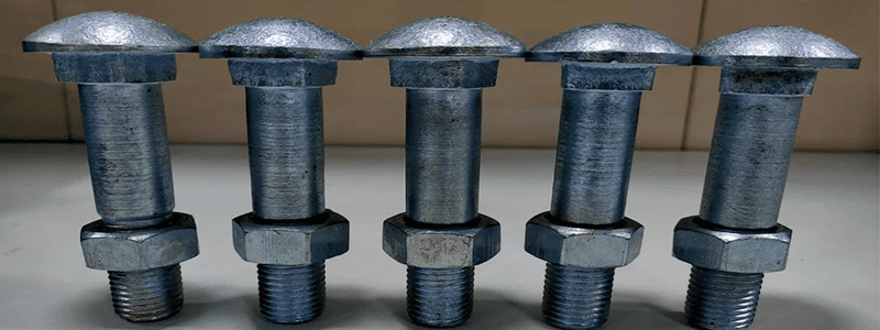 Carriage Bolts Manufacturer in India
	