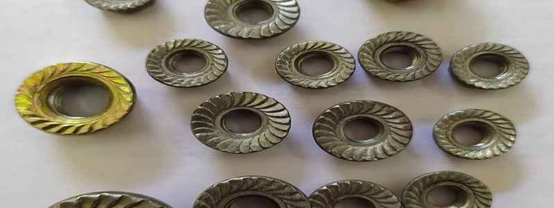 Flange Nut Manufacturer in India
