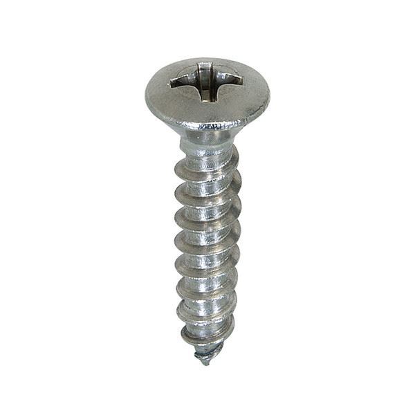 Stainless Steel 304/304L/304H Screw Manufacturer in India