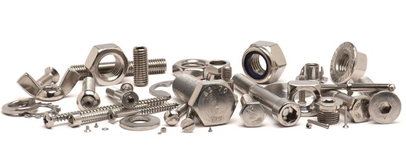 Stainless Steel 317 Fasteners Manufacturer in India
		