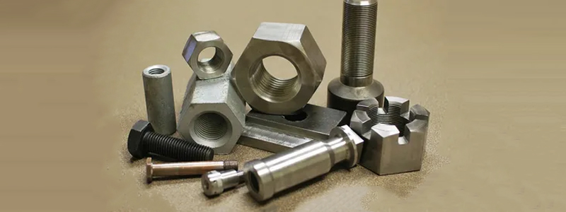 Inconel 625 Fasteners Manufacturer in India
		