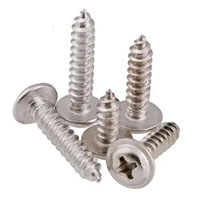 Screws Manufacturer in Europe