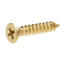 Brass Screw Manufacturer in India