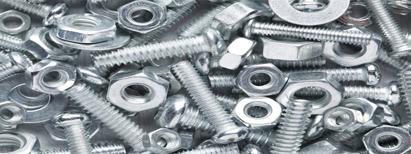 European Standard EU Fasteners Manufacturer in India
			